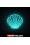 Deniz Kabuğu - NEON LED Tabela