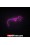 Yüz 2 - NEON LED Tabela